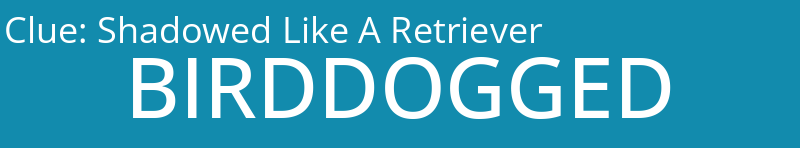 Shadowed Like A Retriever