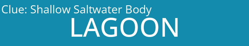 Shallow Saltwater Body