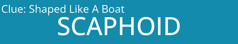 Shaped Like A Boat