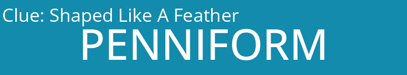 Shaped Like A Feather