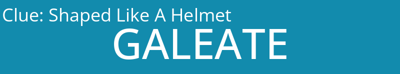 Shaped Like A Helmet