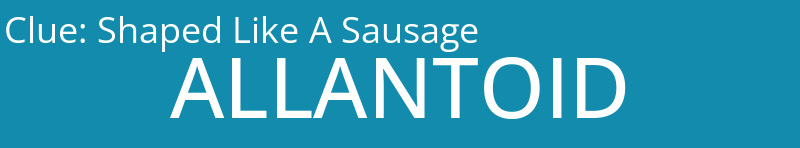 Shaped Like A Sausage