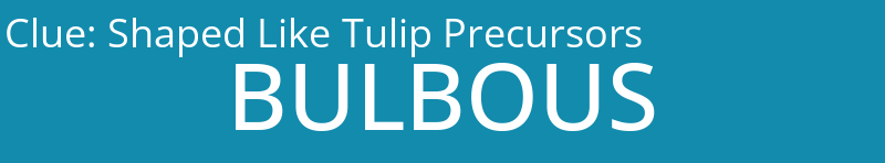 Shaped Like Tulip Precursors