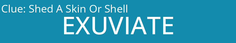 Shed A Skin Or Shell
