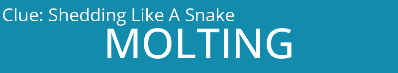Shedding Like A Snake
