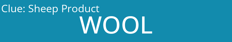 Sheep Product