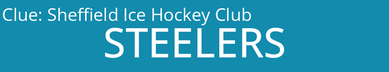 Sheffield Ice Hockey Club
