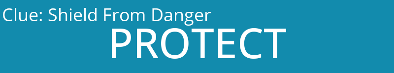 Shield From Danger