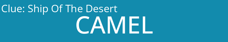 Ship Of The Desert
