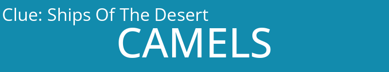 Ships Of The Desert