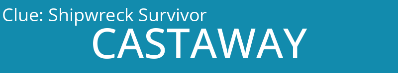 Shipwreck Survivor