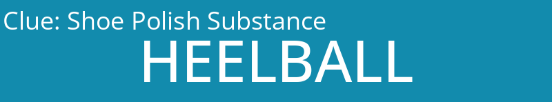 Shoe Polish Substance