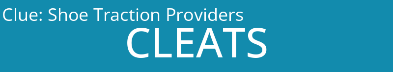 Shoe Traction Providers