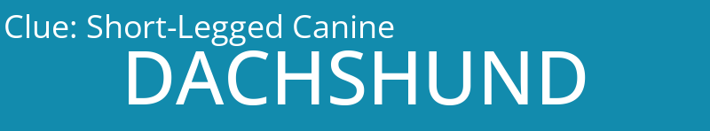 Short-Legged Canine