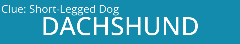 Short-Legged Dog
