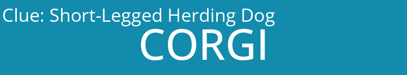 Short-Legged Herding Dog