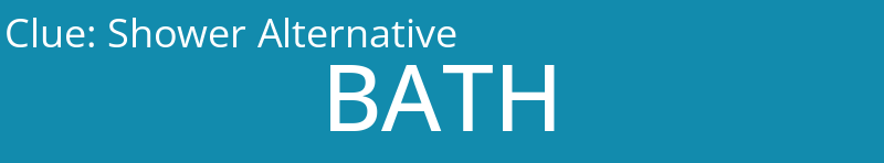 Shower Alternative