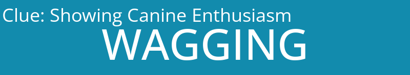 Showing Canine Enthusiasm