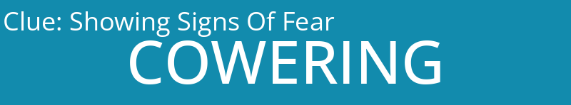 Showing Signs Of Fear