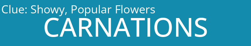 Showy, Popular Flowers