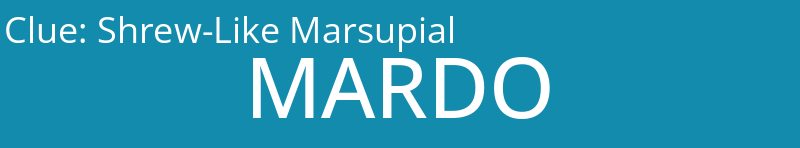 Shrew-Like Marsupial