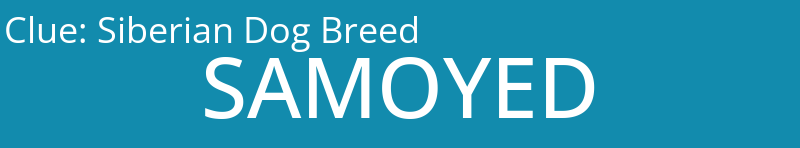Siberian Dog Breed