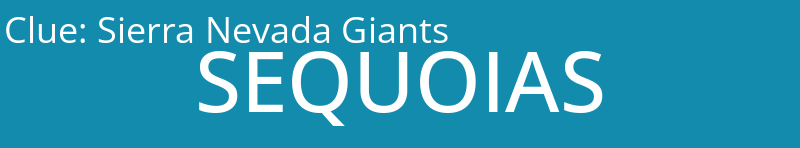 Sierra Nevada Giants