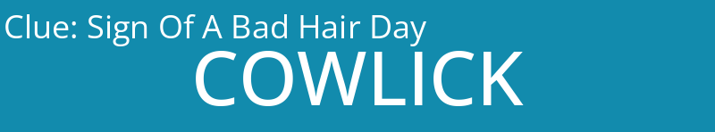 Sign Of A Bad Hair Day