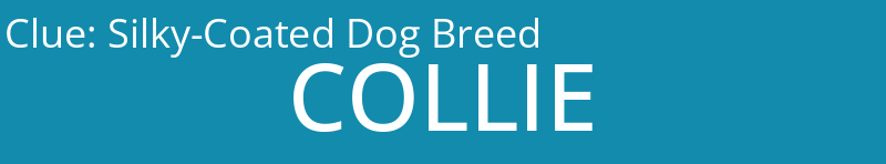 Silky-Coated Dog Breed
