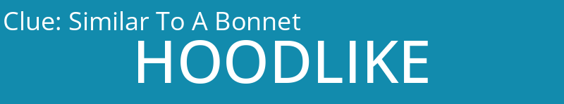 Similar To A Bonnet