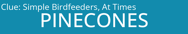 Simple Birdfeeders, At Times