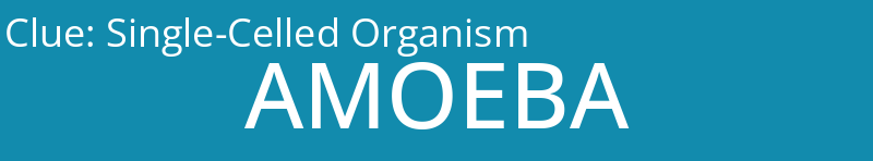 Single-Celled Organism