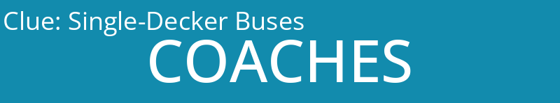Single-Decker Buses