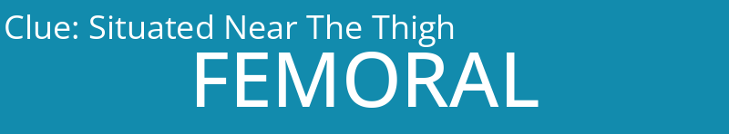Situated Near The Thigh