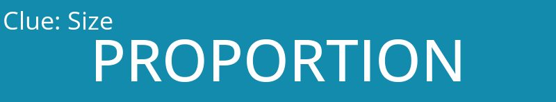 Size