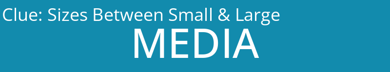 Sizes Between Small & Large