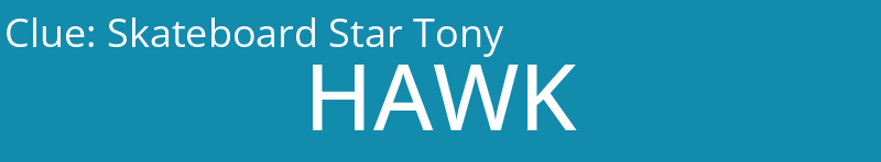 Skateboard Star Tony