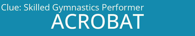 Skilled Gymnastics Performer