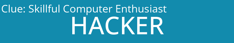 Skillful Computer Enthusiast