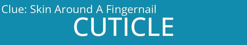 Skin Around A Fingernail
