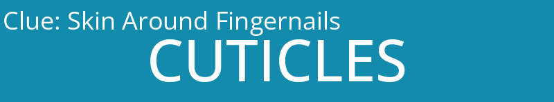 Skin Around Fingernails