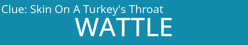 Skin On A Turkey's Throat