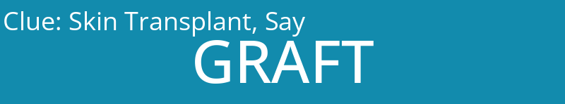 Skin Transplant, Say