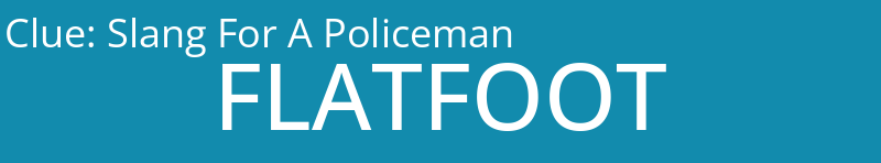 Slang For A Policeman