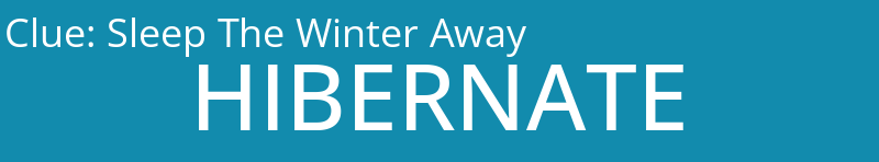 Sleep The Winter Away