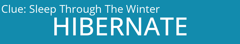 Sleep Through The Winter