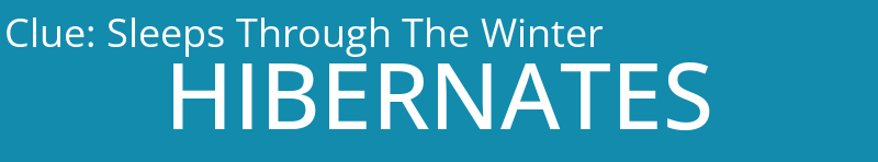 Sleeps Through The Winter