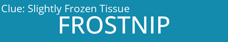 Slightly Frozen Tissue