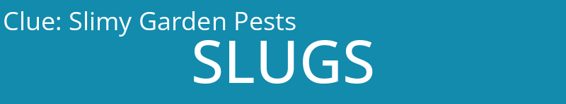 Slimy Garden Pests