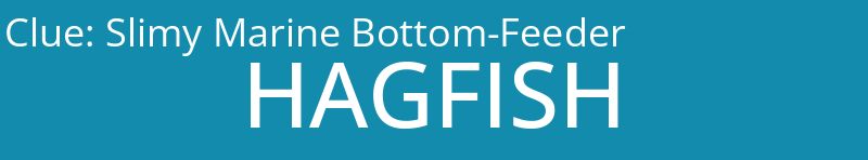 Slimy Marine Bottom-Feeder
